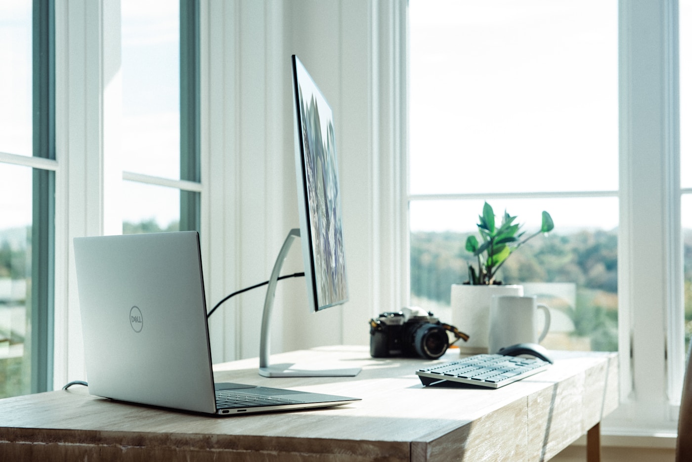 Live Shopify store